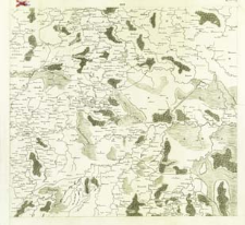 Regni Poloniae, Magni Ducatus Lituaniae Nova Mappa Geographica concessu Borussorum Regis. XIII