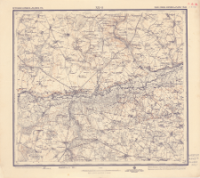 XXV - 8 : petrokovsk. var&scaron;avsk. i radomsk. gub. : ravsk. groeck. opočensk. i radom. uězd.