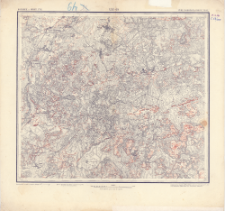 XXV - 19 : volynsk. i minsk. gub. : luck. kovelʹsk. i pinsk. uězd.
