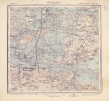 XIV - 22 : vilensk. gub. : o&scaron;m&acirc;nsk., svenc&acirc;nsk. i vilejsk. uězd.