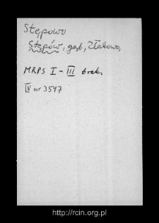 Stęp&oacute;w. Files of Gostynin district in the Middle Ages. Files of Historico-Geographical Dictionary of Masovia in the Middle Ages