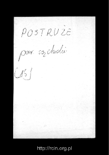 Postr&oacute;że. Files of Sochocin district in the Middle Ages. Files of Historico-Geographical Dictionary of Masovia in the Middle Ages