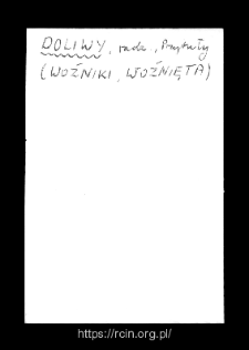 Doliwy. Files of Wizna district in the Middle Ages. Files of Historico-Geographical Dictionary of Masovia in the Middle Ages