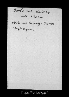 Ostr&oacute;w. Files of Wizna district in the Middle Ages. Files of Historico-Geographical Dictionary of Masovia in the Middle Ages