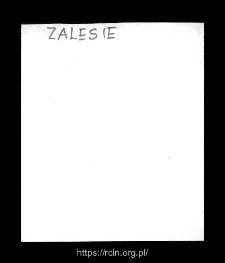 Zalesie. Files of Plock district in the Middle Ages. Files of Historico-Geographical Dictionary of Masovia in the Middle Ages