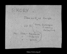 Sikory. Files of Raciaz district in the Middle Ages. Files of Historico-Geographical Dictionary of Masovia in the Middle Ages