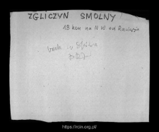 Zgliczyn Smolny. Files of Raciaz district in the Middle Ages. Files of Historico-Geographical Dictionary of Masovia in the Middle Ages