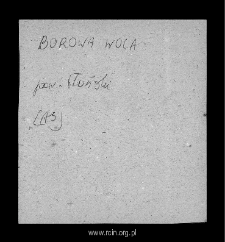 Borowa Wola. Files of Blonie district in the Middle Ages. Files of Historico-Geographical Dictionary of Masovia in the Middle Ages