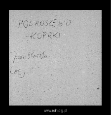 Koprki. Kartoteka powiatu błońskiego w średniowieczu. Kartoteka Słownika historyczno-geograficznego Mazowsza w średniowieczu