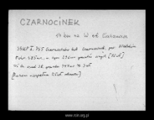 Czarnocinek. Files of Niedzborz district in the Middle Ages. Files of Historico-Geographical Dictionary of Masovia in the Middle Ages