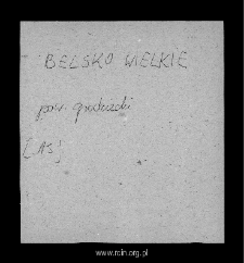 Belsk Duży. Files of Grojec district in the Middle Ages. Files of Historico-Geographical Dictionary of Masovia in the Middle Ages