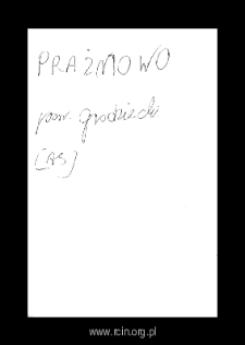 Prażm&oacute;w. Files of Grojec district in the Middle Ages. Files of Historico-Geographical Dictionary of Masovia in the Middle Ages