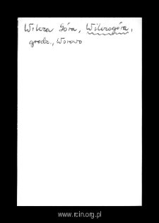 Wilczog&oacute;ra. Files of Grojec district in the Middle Ages. Files of Historico-Geographical Dictionary of Masovia in the Middle Ages