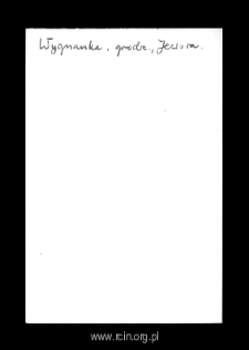 Wygnanka. Files of Grojec district in the Middle Ages. Files of Historico-Geographical Dictionary of Masovia in the Middle Ages