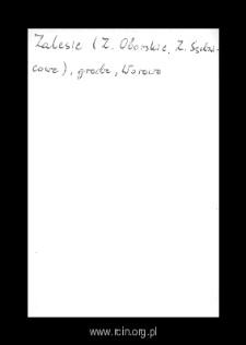 Zalesie. Files of Grojec district in the Middle Ages. Files of Historico-Geographical Dictionary of Masovia in the Middle Ages