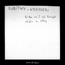 Rybitwy Kokoszki. Files of Plonsk district in the Middle Ages. Files of Historico-Geographical Dictionary of Masovia in the Middle Ages