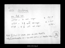 Malenie. Files of Wyszogrod district in the Middle Ages. Files of Historico-Geographical Dictionary of Masovia in the Middle Ages