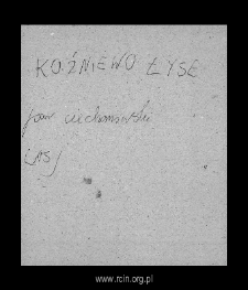 Koźniewo-Łysaki. Files of Ciechanow district in the Middle Ages. Files of Historico-Geographical Dictionary of Masovia in the Middle Ages