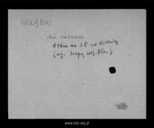 Gołąbki. Files of Mlawa district in the Middle Ages. Files of Historico-Geographical Dictionary of Masovia in the Middle Ages