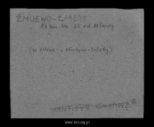 Żmijewo-Łabędy. Files of Mlawa district in the Middle Ages. Files of Historico-Geographical Dictionary of Masovia in the Middle Ages