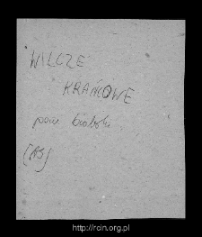 Wilcze Średnie. Files of Biala Rawska district in the Middle Ages. Files of Historico-Geographical Dictionary of Masovia in the Middle Ages