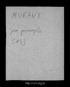 Morawy Wielkie. Files of Przasnysz district in the Middle Ages. Files of Historico-Geographical Dictionary of Masovia in the Middle Ages