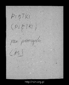 Smoleń-Suwino, now part of a village Trzcianka. Files of Przasnysz district in the Middle Ages. Files of Historico-Geographical Dictionary of Masovia in the Middle Ages