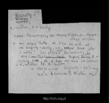Rapaty-Sulimy. Files of Przasnysz district in the Middle Ages. Files of Historico-Geographical Dictionary of Masovia in the Middle Ages