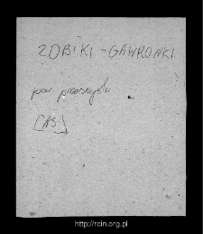 Żbiki-Gawronki. Files of Przasnysz district in the Middle Ages. Files of Historico-Geographical Dictionary of Masovia in the Middle Ages