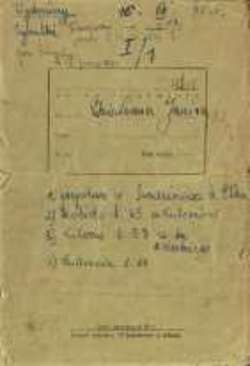 Zeszyty z badań gwarowych; XIIx/1