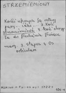 Kartoteka Słownika języka polskiego XVII i 1. połowy XVIII wieku; Strzemieniowy - Suchęniowski