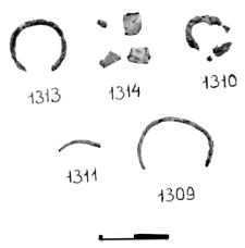 ring (Żerniki Górne) - chemical analysis