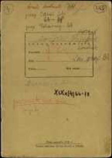 Zeszyty z badań gwarowych; XIXx/4