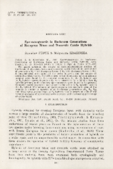 Bisoniana LXXV. Spermatogenesis in backcross generations of European bison and domestic cattle hybrids
