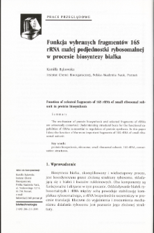 Function of selected fragments of 16S rRNA of small ribosomal subunit in protein biosynthesis