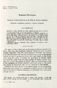 Variation in colour patterns of the belly in Neomys anomalus