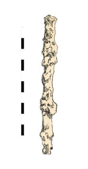 nail, iron