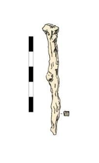 nail, iron