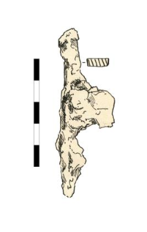 nail, iron, corroded