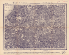Reihe VIII. Blatt 4. Wenden : Gouvernement Livland u. Kurland