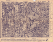 Reihe IX. Blatt 9. Brontscharow : Gouvernement P&szlig;kow