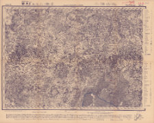 Reihe VII. Blatt 6. Pjetschory : Gouvernement Livland, P&szlig;kow und Witebsk