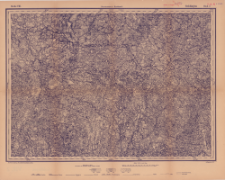 Reihe VIII. Blatt 2. Goldingen : Gouvernement Kurland