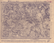 Reihe XVII. Blatt 8. Bobruj&szlig;k : Gouvernement Mohilew u. Minsk