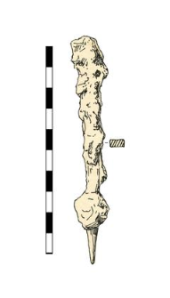 nail, iron, corroded