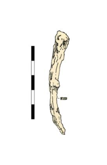 nail, iron