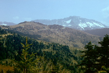Kifissia (1978)