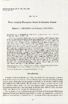 Bisoniana 110. Free ranging European bison in Borecka Forest