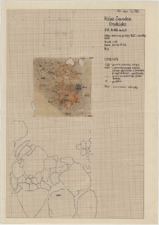 KZG, VI 402 CD, plan archeologiczny wykopu