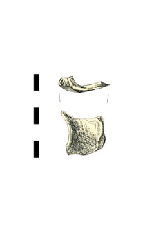 vessel, glass, fragment